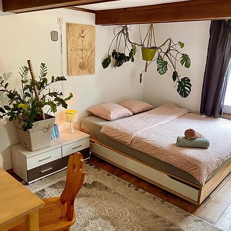 Cozy Room In An Old Farmhouse Near Vaduz Sevelen 외부 사진