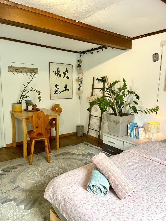Cozy Room In An Old Farmhouse Near Vaduz Sevelen 외부 사진